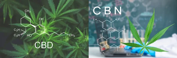 outline of a cbd molecule next to a cbn molecule for comparison