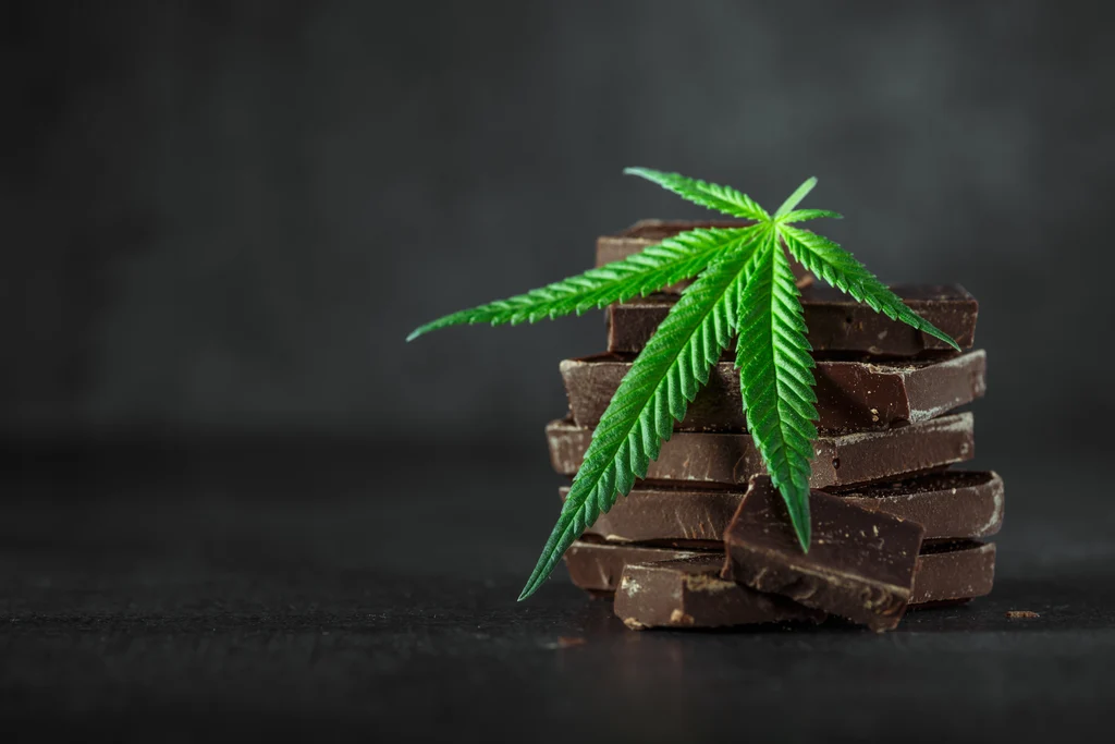 weed leaf with dark chocolate blocks
