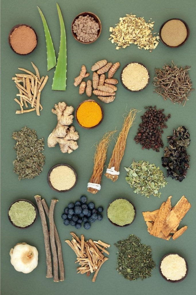 Adaptogens Explained: What Are They? How Do They Work? What Are Their Benefits?